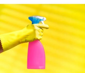 Ky artikull i përgjigjet çdo pyetje që keni në lidhje me pastrimin e shtëpisë