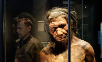 Gjeni neandertal që i bën njerëzit më të ndjeshëm ndaj dhimbjes