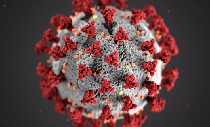 Kreu i ekspertëve amerikanë: Nuk ka mbaruar ende vala e parë e koronavirusit