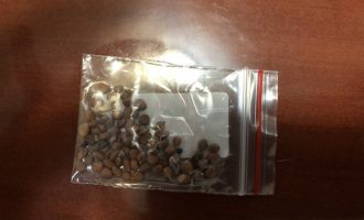 Fara misterioze nga Kina po zbarkojnë në kutitë postare të amerikanëve