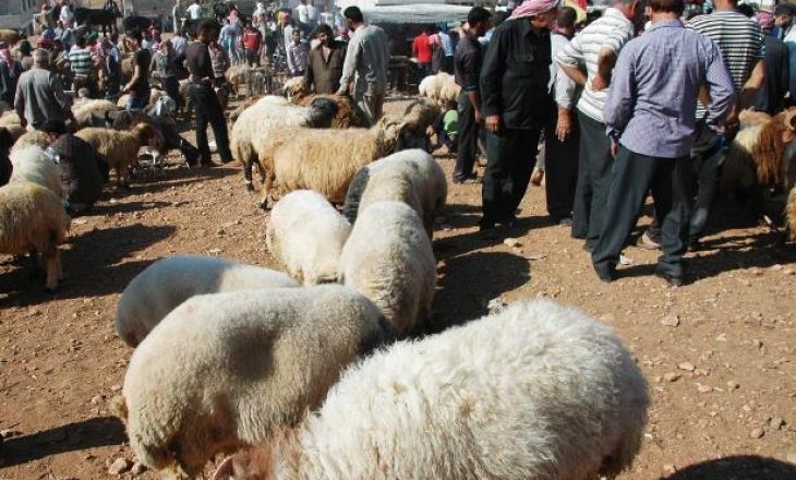 Masat e reja anti-Covid, ndalojnë ritin e sakrifikimit te kafshëve për Kurban Bajram
