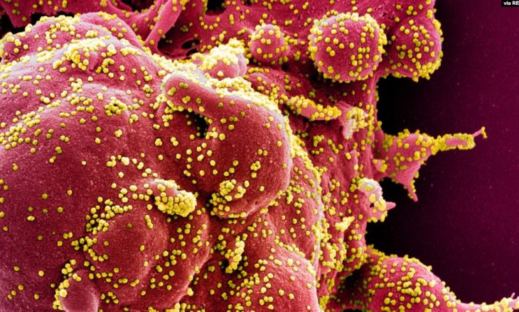 Shkenctarët: Koronavirusi përhapet edhe nga ajri