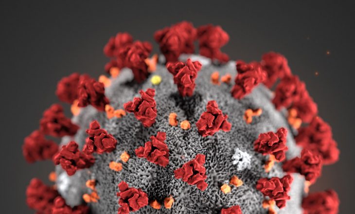 Si mund të krijojmë imunitet ndaj Coronavirus-it?