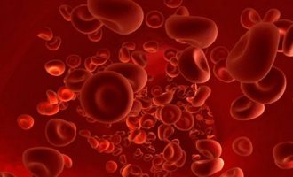 Pse kemi grupe të ndryshme gjaku – Cili tip gjaku është më i prekshëm nga COVID-19?