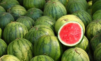 Këshilla të një fermeri që të zgjidhni shalqirin perfekt