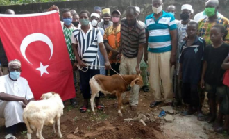 Në Togo festojnë me kurban për kthimin e Shën Sofisë në xhami