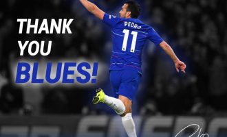 Pas Willian, edhe ky lojtarë konfirmon largimin nga Chelsea