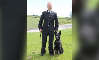 Që ditën e parë të punës ky qen policie u bë hero