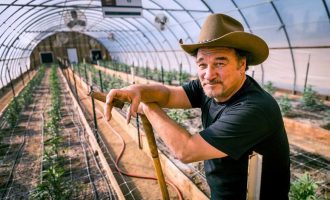 Jim Belushi tani në një rrugëtim të ri – si fermer i marihuanës