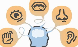 E kemi ditur gabim! Njerëzit kanë më shumë se 5 shqisa