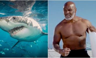 Mike Tyson vs Peshkaqeni – Kush fitoi? (Video)