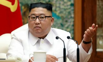 Kim Jong Un jep urdhër që të sekuestrohen gjithë qentë shtëpiakë