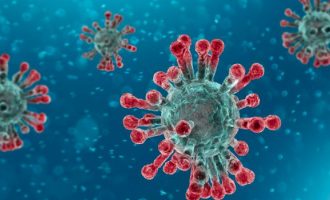 Coronavirusi vs Murtaja: Çfarë kanë të përbashkët këto dy viruse ngjitëse?