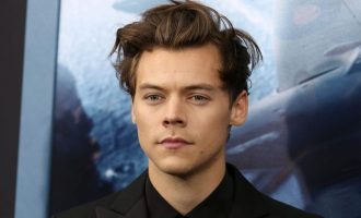 Harry Styles u jep dashuri fansave nga një distancë të sigurt sociale