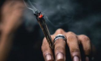 Marihuana e dëmshme për zemrën, thotë studimi