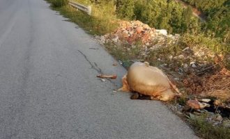 Mbetjet e kurbaneve hidhen në rrugë