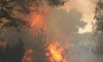 ​Dalin para drejtësisë personat që shkaktuan zjarrin në Babush të Ferizajt