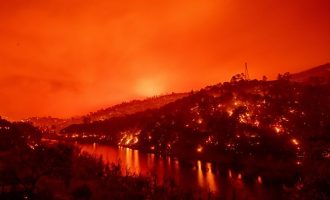 Trump e quan katastrofë të madhe zjarret në Californi, premton ndihmë