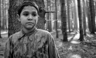 The Painted Bird: Filmi për dhunën brutale që shkaktoi neverinë e shikuesve por u vlerësua me më së shumti pikë nga kritikët