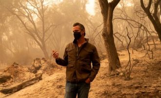 Zjarri në SHBA është shkaktuar nga ndryshimet klimatike, thotë guvernatori i Kalifornisë