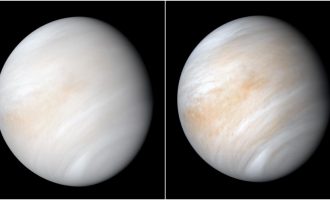 Një kimikat i gjetur rishtazi në Venus, sugjeron që mund të ketë jetë jashtëtokësore