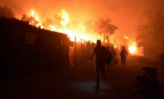 Gjermania do të marrë 1.500 emigrantë nga Greqia, pasi zjarri i madh la mijëra të pastrehë