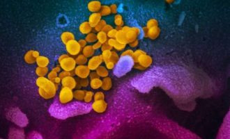 Steroidet ulin nivelet e vdekjeve nga COVID-19, por jo për të gjithë