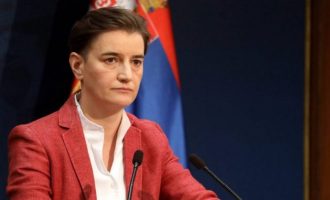 Brnabiq-it s’i kujtohet kur kishte Serbia marrëdhënie më të afërta se tani me SHBA-në