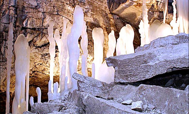 Ariu shpellor 39,000-vjeçar zbulohet i ruajtur në mënyrë të përsosur