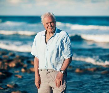 Sir David Attenborough thotë se ka kaluar karantinën duke dëgjuar zogjtë
