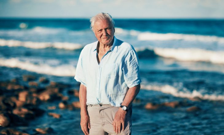 Sir David Attenborough thotë se ka kaluar karantinën duke dëgjuar zogjtë