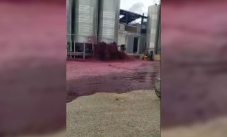 Bodrumi i verës përmbytet nga 49 mijë litra verë të kuqe