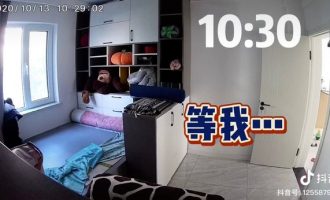 Gruaja incizon qenin të vetëm në shtëpi – rezultati i theu zemrën