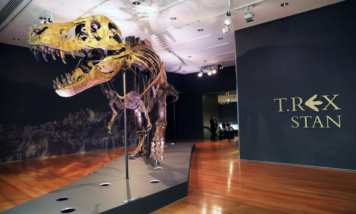 Një prej skeleteve më të mëdhenj dinozauri shitet për dhjetëra miliona dollarë