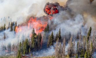 Planeti i brishtë: Dokumentimi i krizës klimatike përmes fotografive