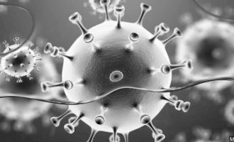 3.123 numri i rasteve akitive pas rekordit të zi të regjistruar të premten