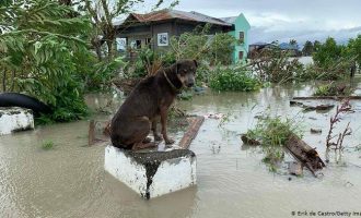 Nga tajfuni Molave, në Vietnam humbin jetën 21 persona
