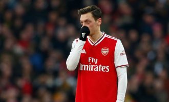 Ozili nuk do të përfshihet në planet e Arsenalit