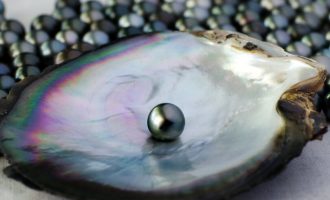 Fakte interesante që nuk i dinit për perlat