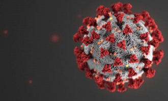 2 vdekje e 43 raste të reja me COVID-19
