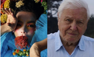 David Attenborough rikujton bashkëpunimin me Bjork