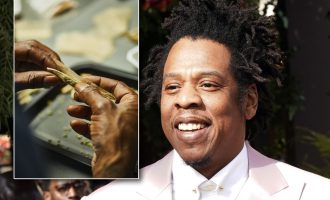 Jay Z po lanson linjën e tij të kanabisit