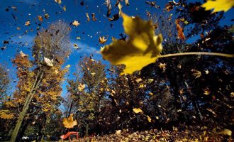 Moti për javën e ardhshme