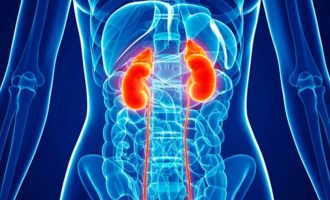 6 ushqimet që konsiderohen të shëndetshme por që rrezikojnë të dëmtojnë veshkat tuaja