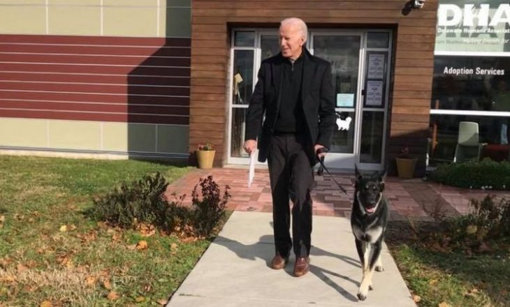 Joe Biden lëndon këmbën duke luajtur me qen