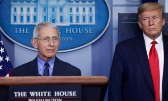 Shtëpia e bardhë akuzon Dr Fauci që po bën lojëra politike