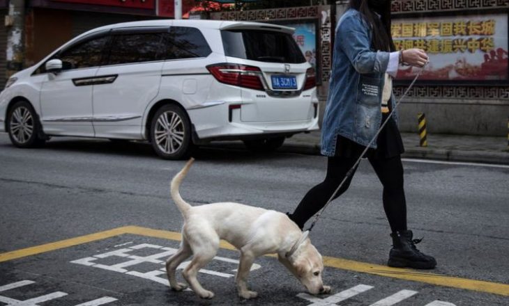Provinca kineze që ndalon pronarët e qenve t’i shëtisin nëpër rrugë