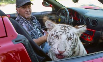 Ylli i Tiger King akuzohet për trajtim çnjerëzor të kafshëve