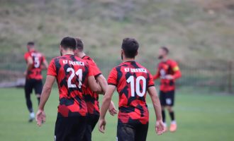 Drenica mposht minimalisht Feronikelin