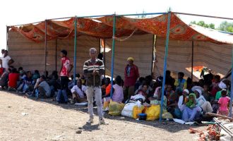  Të paktën 600 persona të vrarë në masakrën në Mai Kadra 